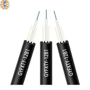 Fabricant Gyfxty 12 Fibers G652D G657A G655 Non Métalliques Tube Lâche Central Corning Câble Optique Extérieur