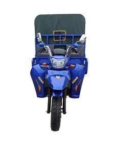 <span class=keywords><strong>250cc</strong></span> motorisé Open Cargo Tricycle essence trois roues moto pour cabine cargo motorisé tricycle avec tente arrière - Product Image 2