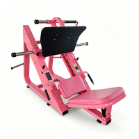 Unité d'entraînement des jambes à plaque inclinée pour usage intensif, pour le développement musculaire des jambes dans les centres de fitness commerciaux