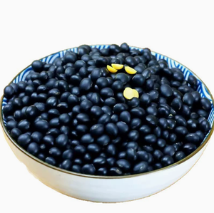 Haricots noirs jaunes du Nord-Est séchés 400g, nouvelle récolte, cotylédon jaune pour germination, lait de soja, grain entier, cultivé à la ferme, petit format - Product Image 1
