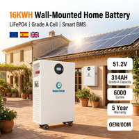 Batería de Almacenamiento de Energía Doméstica LiFePO4 de 51.2V 16kWh, Paquete de Baterías de Litio de 314Ah para ESS Solar