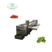 Hete Aanbieding Automatische Groente- en Fruit sorteermachine Rolbaan SUS304 RVS GSJ-5 Model voor Komkommer/Yam/Noot