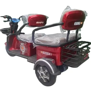 Hot Sale Electric Manned Tricycle for Sightseeing Tours and Shopping Tourism