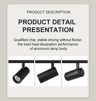 15W dali dimmable 2700k-5700k cct accordable 15/24/36/60 degrés lentille ou réflecteur 48VDC projecteur de piste led magnétique