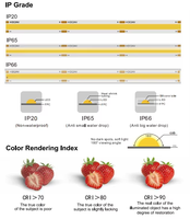 LEDODM prix d'usine Cob Led Strip Light 12v 24v 320leds/M 2700K 3000K 4000K 6500K Ip20 CRI>90 9.6 W/M COB Dot Free Led Light