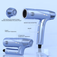 Nouveau Sèche-cheveux Ionique Pliant Mini Haute Vitesse Premium pour Hôtel et Usage Domestique