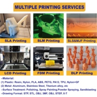 Mainan cetak 3D kustom pabrik OEM & ODM layanan cetak 3D FDM cetak cepat dengan bahan PLA/TPU/PETG/ASA