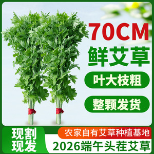 Fresh mugwort for the <b>Dragon</b> Boat Festival is hung on doors and windows to repel mosquitoes and bring good fortune. Hand-tied, - Product Image 5