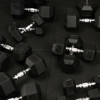 Équipement de gym, ensembles d'haltères, matériau PVC/TPE, haltères hexagonales en caoutchouc pour l'exercice et la remise en forme, pour le corps et les bras des hommes