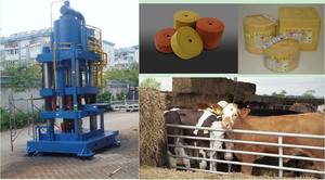 Pressa Idraulica a Quattro Colonne YST 500 per Compattazione di Blocchi di Sale da Leccare per Bovini e Ovini - Product Image 2