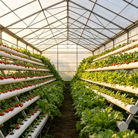 Tuyau hydroponique NFT résistant aux UV avec une durée de vie de 10 ans pour les applications d'agriculture en plein air