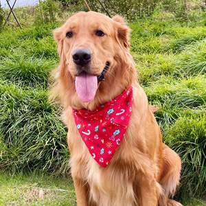 Animal de compagnie chat <span class=keywords><strong>chien</strong></span> imprimer noël Halloween fête triangle bavoir écharpe décorative mignon broche serviette - Product Image 2