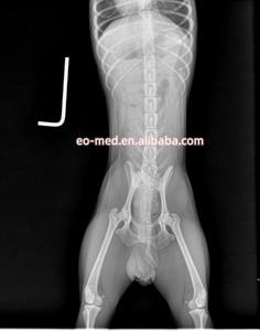 Équipement de radiologie hospitalier portable, machine à rayons X numérique, prix pour les membres, l'abdomen et la poitrine VXM1100 - Product Image 5