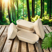 Échantillon Gratuit : Boîte à Déjeuner Bento Jetable en Pulpe de Bagasse de Canne à Sucre, Design Classique, Biodégradable, pour Plats à Emporter