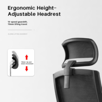 Chaise de bureau ergonomique moderne en maille confortable, hauteur réglable, support lombaire, base robuste, roulettes silencieuses en nylon, chaise de travail