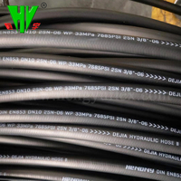 Les entreprises hydrauliques professionnelles en Chine fournissent un tuyau hydraulique SAE 100 r2at résistant au feu