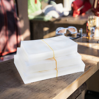 Grand sac en plastique transparent scellable en nylon PE pour cuisson à haute température, aliments surgelés, emballage sous vide - Plusieurs tailles, pour chewing-gum
