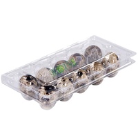 Plateau à œufs en plastique transparent, 10 trous, 25 pièces, emballage de cartouches à œufs de caille, fabrication