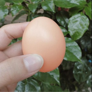 Pollo artificial simulado huevos falsos color carne para <span class=keywords><strong>huevo</strong></span> de Pascua pintura DIY decoración del hogar - Product Image 6