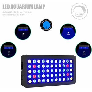 2025 Trending 165W regulable espectro completo acuario <span class=keywords><strong>luz</strong></span> LED <span class=keywords><strong>pecera</strong></span> LED arrecife Decoración <span class=keywords><strong>Luz</strong></span> <span class=keywords><strong>para</strong></span> agua salada agua dulce - Product Image 3