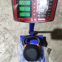 Kettlebell en fonte avec peinture en poudre