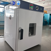 Oven Pengering Udara Paksa Vertikal Seri LGG 30L-1300L Oven Pengering Ledakan Listrik Laboratorium Industri dengan CE ISO