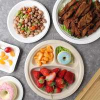 Assiette jetable en bagasse de 10 pouces, 3 compartiments, emballage alimentaire pour événements extérieurs et réunions de famille – Meilleures ventes