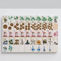 Ensemble de Mahjong Américain de Luxe en Acrylique avec Coquillages de Perle Charleston, 160 Tuiles, Jeu de Société pour Famille et Fêtes, Cadeau, Fabriqué au Jiangsu