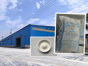 18% Suplemento de fósforo de calcio de grado alimenticio de fosfato de hidrógeno de calcio de alta pureza al por mayor - Product Image 6