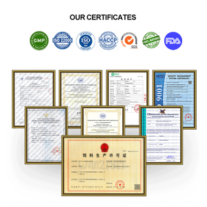 Suplemento de salud para mascotas con etiqueta privada personalizada, masticables avanzados para el cuidado diario de las articulaciones y la cadera del perro con tratamiento MSM para aliviar el dolor articular - Product Image 6