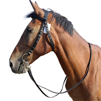 Halter cheval en nylon conçu sur mesure pour bride équestre et de course