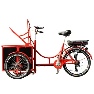 Nieuwste Ontwerp Groothandel Golfkar Best Selling Mini Cargo Bike Huisdier Fiets Hond Driewieler Cargo E Fiets Te Koop