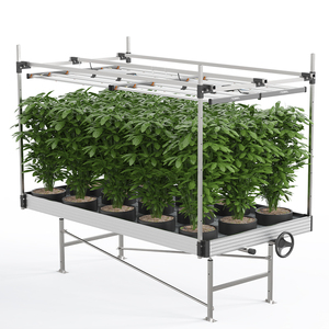 Sistema di panche mobili in metallo per serra <span class=keywords><strong>da</strong></span> <span class=keywords><strong>giardino</strong></span>, tavolo di coltivazione <span class=keywords><strong>con</strong></span> vassoi, design ecologico, facile <span class=keywords><strong>da</strong></span> montare, per uso agricolo - Product Image 2