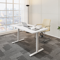 Petit bureau électrique moderne en métal, réglable en hauteur, ergonomique, 70 kg, programmable, pour la maison, le bureau, l'appartement