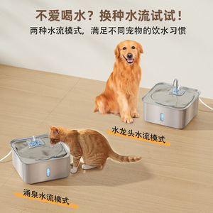 Fontaine à eau en acier inoxydable PetSafe FT800, grande capacité, filtration automatique pour chiens et chats - Product Image 4