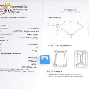 Gouden bladgroothandel smaragd geslepen 3.02CT laboratorium gekweekte diamant D VVS VS IGI certificaat voor juwelierswerk - Product Image 6