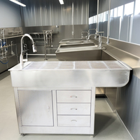 Table d'opération et d'examen vétérinaire multifonctionnelle pour les cliniques vétérinaires et les instruments chirurgicaux