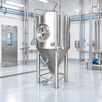 Cuve de Fermentation de Bière de Qualité Alimentaire 500L 1000L 2000L Facile à Utiliser Système de Contrôle Automatique PLC 380V Triphasé 50Hz