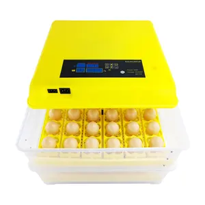 Top sell quail eggs incubator parrot brooders for sale