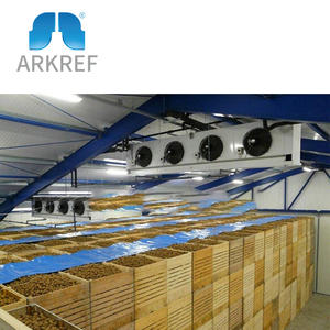 ARKREF <strong>Walk</strong> in Freezer Room , Industrial <strong>Fridge</strong> Freezer System , Industrial Refrigeration Chamber - Product Image 3