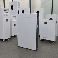 Batterie au lithium LiFePO4 51,2 V 16 kWh 314 Ah, prix d'usine compétitif, idéale pour les importateurs et les revendeurs B2B de stockage d'énergie solaire