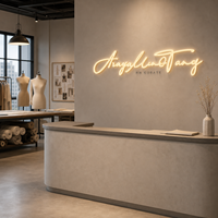 Enseigne de studio de mode avec lettres en acrylique givré rétroéclairées et corps en acier inoxydable pour affichage mural d'atelier de créateur