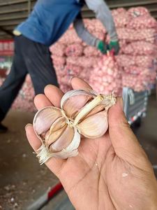 Alta calidad 4,5-6,0 y más tamaño fresco normal y puro ajo blanco China cocina orgánica ajo directo para la venta - Product Image 3