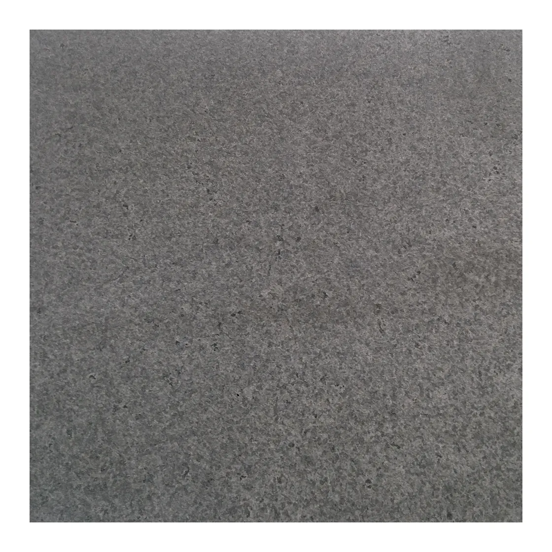 Cheapest Flamed China Shandong impala Padang Sesame Black Dark Grey Granite G654 for wall cladding