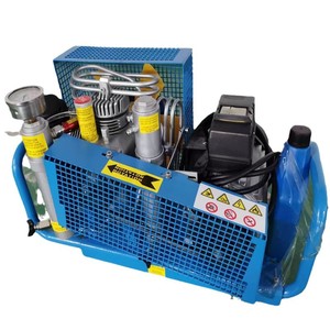 Apagado automático 300bar Motor Compresor <span class=keywords><strong>de</strong></span> aire portátil alimentado por CA Cilindro <span class=keywords><strong>de</strong></span> respiración <span class=keywords><strong>de</strong></span> <span class=keywords><strong>buceo</strong></span> Snorkeling <span class=keywords><strong>Coral</strong></span> Reef Adventure - Product Image 6