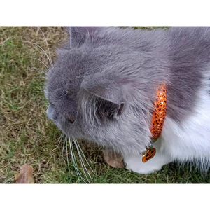Confezione da 2 pezzi con colletto di Halloween Design con zucca e fascino fantasma arancione e nero per la sicurezza degli animali domestici - Product Image 5