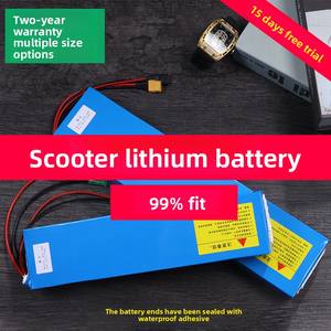 Аккумулятор Shepherd 24V/36V/48V 10AH/12AH/15AH, твердотельный, 18650, для электровелосипедов и скутеров, 1500 циклов - Product Image 3