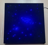 Haute qualité tapis noir porte étoile fibre optique tapis nouveau Style décoration de la maison avec Source de lumière LED