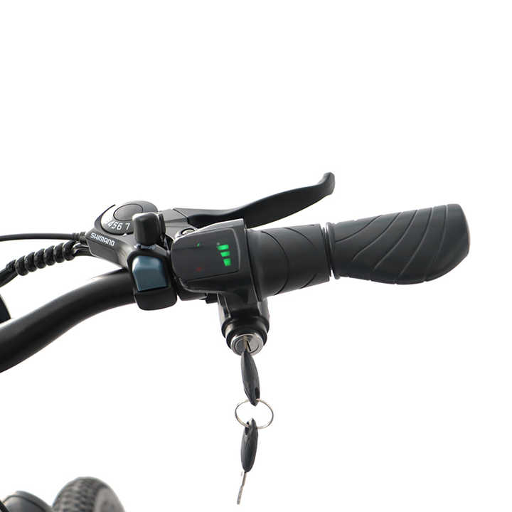 APTK Standard 36V Electric City Bike with Comfortable Pedal Assistance 350W Brushless Motor Low Price Basket for Urban Travel