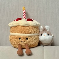   Jouet en peluche gâteau aux fraises très populaire, cadeau d'anniversaire, en tissu super doux, rembourré en coton PP, jouet pour enfants